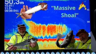 “Massive Shoal” what is it? Lets find out 🎣 Boat Fishing North Sea 🐟🐟