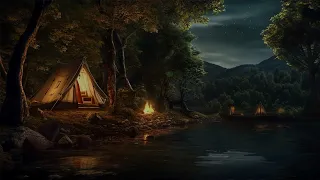 Very Satisfying Sounds of Campfire and Lakeside Wind At Night for Sleep and Study