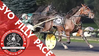 2019 Breeders Crown - Warrawee Ubeaut - 3YO Filly Pace