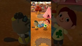 Animal Crossing Pocket Camp: Gameplay. Fishing Tourney! Ep 1.