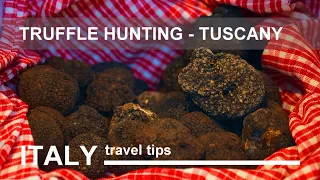 Italy - Truffle Hunting in the Tuscany - Tips for travelling