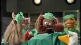 The Muppet Show: Veterinarian's Hospital - Duck