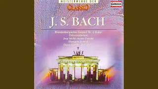 Overture (Suite) No. 2 in B Minor, BWV 1067: VI. Menuet - VII. Badinerie