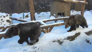 Famous Onsen in Hokkaido/Noboribetsu Hot Springs/Jigokudani/Bear Park, Japan Travel