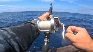 San Diego Offshore Fishing for Bluefin Tuna/Yellowtail on the Liberty | Fisherman's Landing, CA