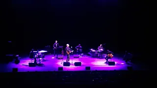 Tindersticks - Pinky In The Daylight at Salle Pleyel,  Paris, France, 2020