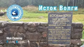 Мой Селигер: Исток реки Волги