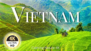 A BEAUTIFUL VIETNAM - SOUTH EAST ASIA - Calming Music & Nature 4k Ultra HD Video
