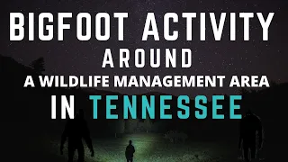 BIGFOOT ACTIVITY AT A YOUNG COUPLES PROPERTY IN TENNESSEE