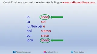 Verbi essere e avere - Lezione 07 -  Unita 2 -  grammatica   – Corso di italiano