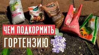 Минеральные удобрения для гортензии / Садовый гид