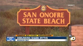Debunking shark myths