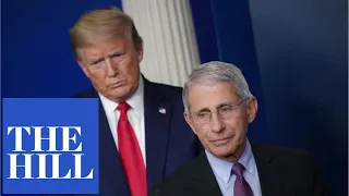 WATCH: Trump questions how Dr. Fauci has a high approval rating "but nobody likes me"