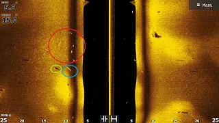 ТАКИХ ОГРОМНЫХ РЫБ В ЭХОЛОТЕ Я ЕЩЕ НЕ ВИДЕЛ! ЭТОТ СОМ МОНСТР! РАЗБОР СКРИНШОТОВ С ЭХОЛОТА LOWRANCE!