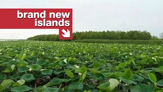 The only bit of Louisiana's coast that isn't sinking