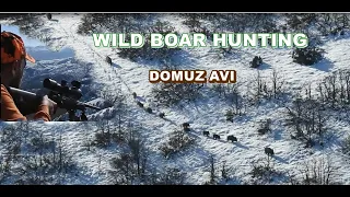 BEST WILD BOAR HUNTING / BOL ATIŞ VE AKSİYON DOLU YABAN DOMUZU AVI.