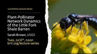 Lunchtime Lecture: Plant-Pollinator Network Dynamics of the Little Fork Shale Barren