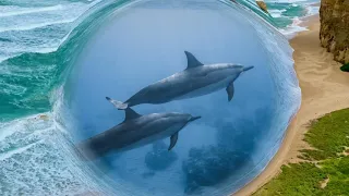 Дельфинотерапия. Исцеляющие звуки дельфинов - Релакс/ Dolphins sounds and Dolphins noises. Дельфины