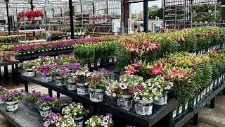 NEW ARRIVALS Walmart Garden Center May 2024 Inventory + Clearance racks are back!