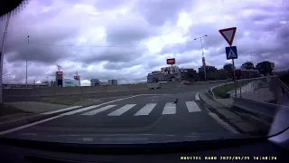 The crow passes through a pedestrian crossing