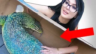 WHAT'S IN THE BOX CHALLENGE **LIVE ANIMALS**
