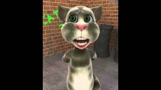 Talking Tom Rayray