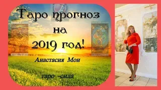 ТАРО прогноз на 2019 год. Анастасия Мон.