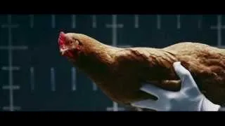 Mercedes Benz MAGIC BODY CONTROL commercial Chicken HD