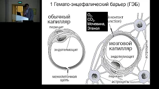 Инфузионная терапия при поврежденном мозге Ошоров А В