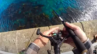 Fishing from a Pier with Light Tackle