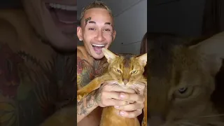 🥰МИЛЫЙ ТИКТОК МОРГЕНШТЕРНА И ДИЛАРЫ С КОТЕНКОМ 😼🔥 ДИЛАРА ЗАПИСАЛА НОВЫЙ КЛИП В ТТ С АЛИШЕРОМ #shorts