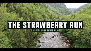 The Strawberry Run - A Margaree River Adventure