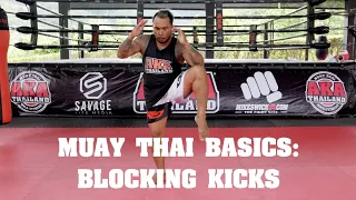 Muay Thai Basics: Blocking Kicks - AKA Techniques