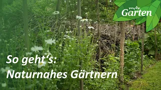 Tipps für das naturnahe Gärtnern | MDR Garten