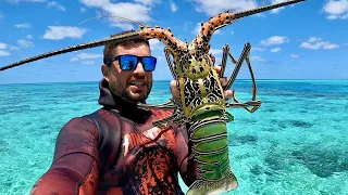 GIANT LOBSTERS ULTRA SHALLOW WATER