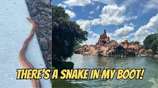 When a SNAKE Tries to Keep You From the MAGIC KINGDOM