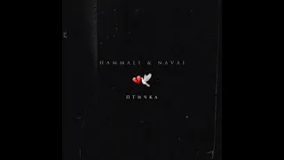 HammAli x Navai - Птичка (Vadim Adamov x Hardphol)