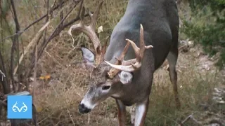 Giant Gnarly 167" Buck | Bill Jordan in Kansas | Monster Bucks Mondays