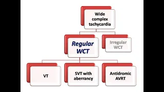 ECG course: Approach to WCT, Dr. Sherif Altoukhy