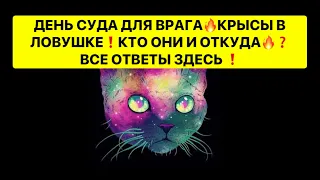 🔥ДЕНЬ СУДА ДЛЯ ВРАГА❗️КРЫСЫ В ЛОВУШКЕ❗️КТО ОНИ  И ОТКУДА⁉️⁉️⁉️ВСЕ ОТВЕТЫ ЗДЕСЬ❗️❗️❗️🔥