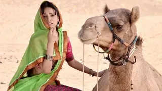 Titli Jaisi Udti Phire || Rangrasiya || Serial Song || Aashish Sharma || Sanaya || Sensiz Olmaz ||