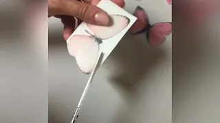 Farfalle 🦋 in wafer paper