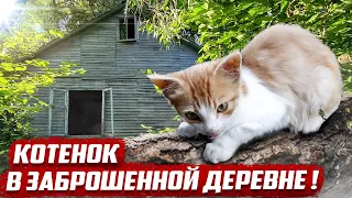 Как он выжил? | Орловская обл, Покровский район, д.Протасово