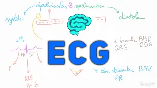 🔴 L' ECG Expliqué Très Clairement par Dr Astuce