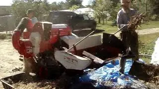 Boaz Mini Combine   Stationary Thresher for Dry Beans