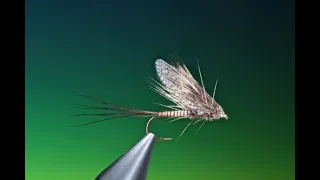 Fly Tying a Muddler Mayfly dry fly with Barry Ord Clarke