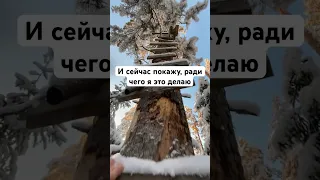 Ступеньки в зимнее небо