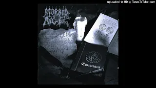 God Of Emptiness - Morbid Angel (vocal cover)