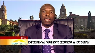 Experimental farming to secure SA wheat supply