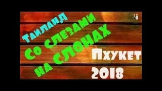 Тайланд  / Катание на слонах /о Пхукет/ 3 й выпуск